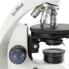 BioBlue - Image 3