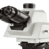 Delphi-X Observer Fluorescence - Image 2