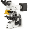 Delphi-X Observer Fluorescence
