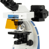 Oxion fluorescence