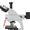 bScope fluorescence - Image 3